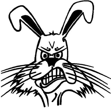 Jackrabbit 